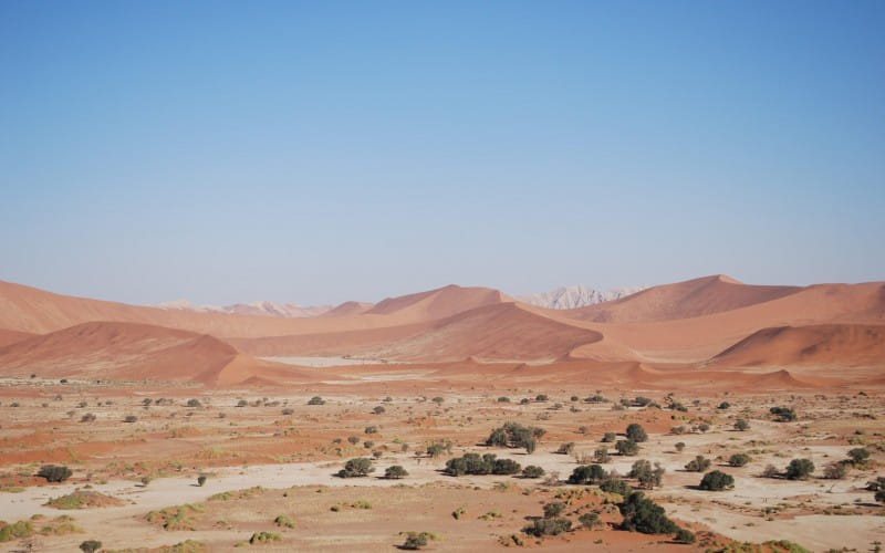 namibia_17.07.2008_160002_1.jpg