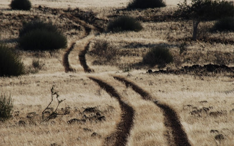 namibia_24.07.2008_172605.jpg