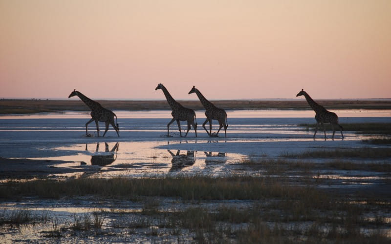 namibia_31.07.2008_182529.jpg